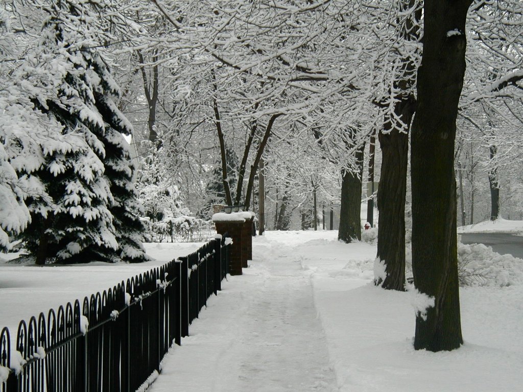 winter desktop wallpaper dress